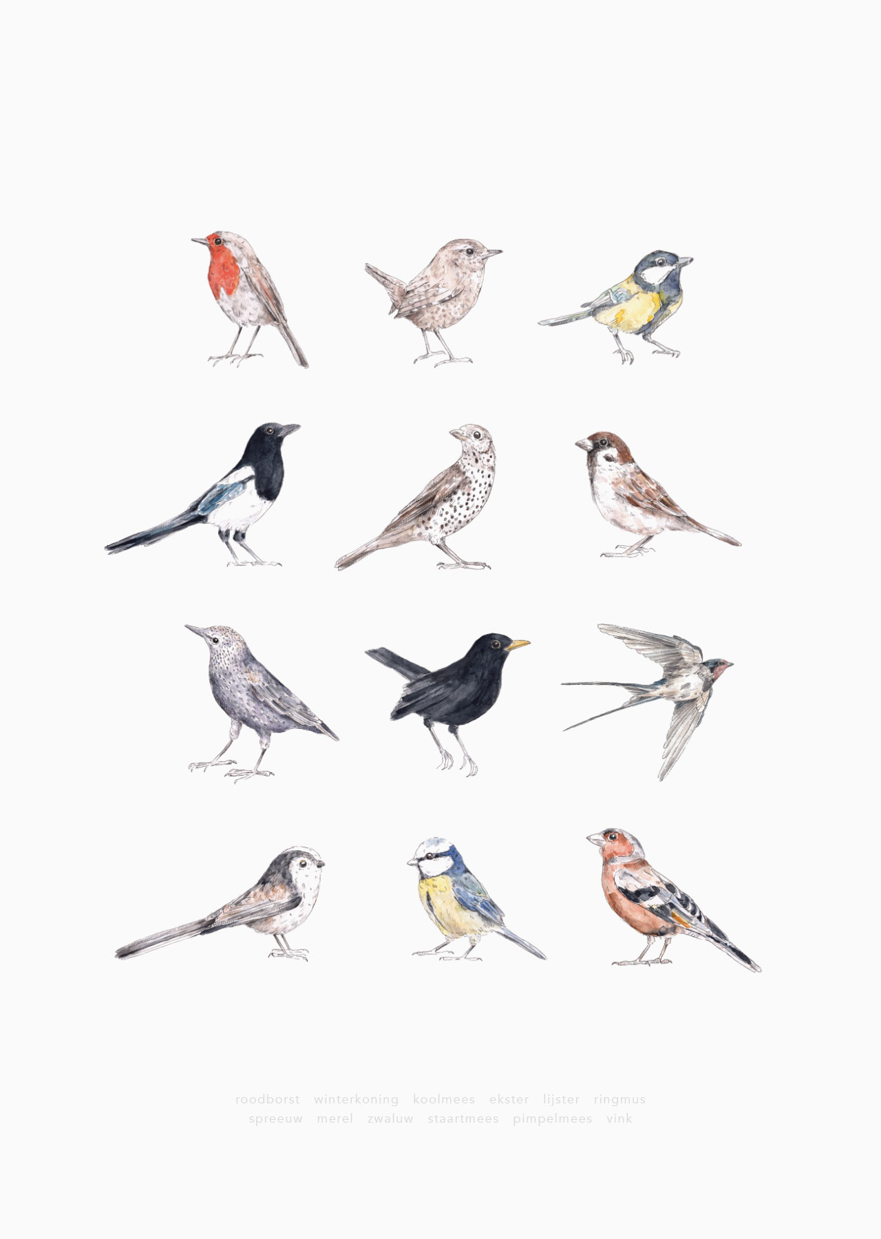 inkylines - Birds - Birds poster